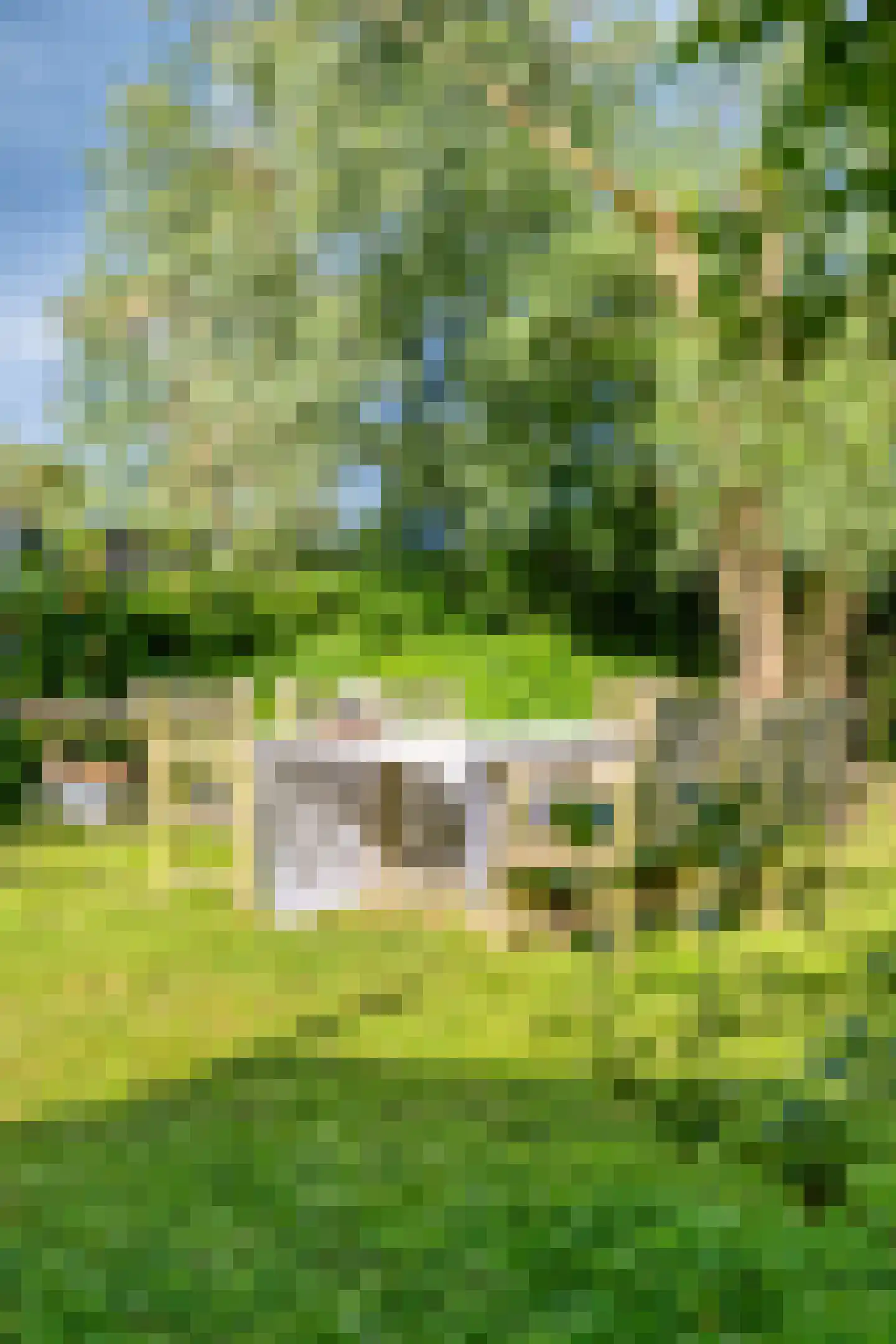 Zinkweg 306 Oud-Beijerland thumbnail 69