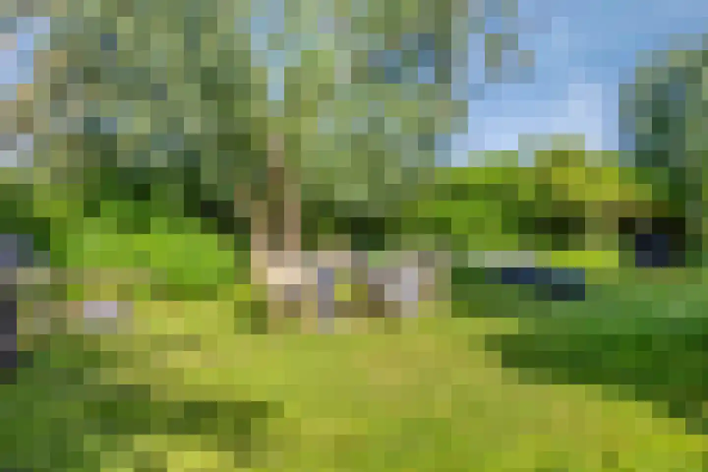 Zinkweg 306 Oud-Beijerland thumbnail 70