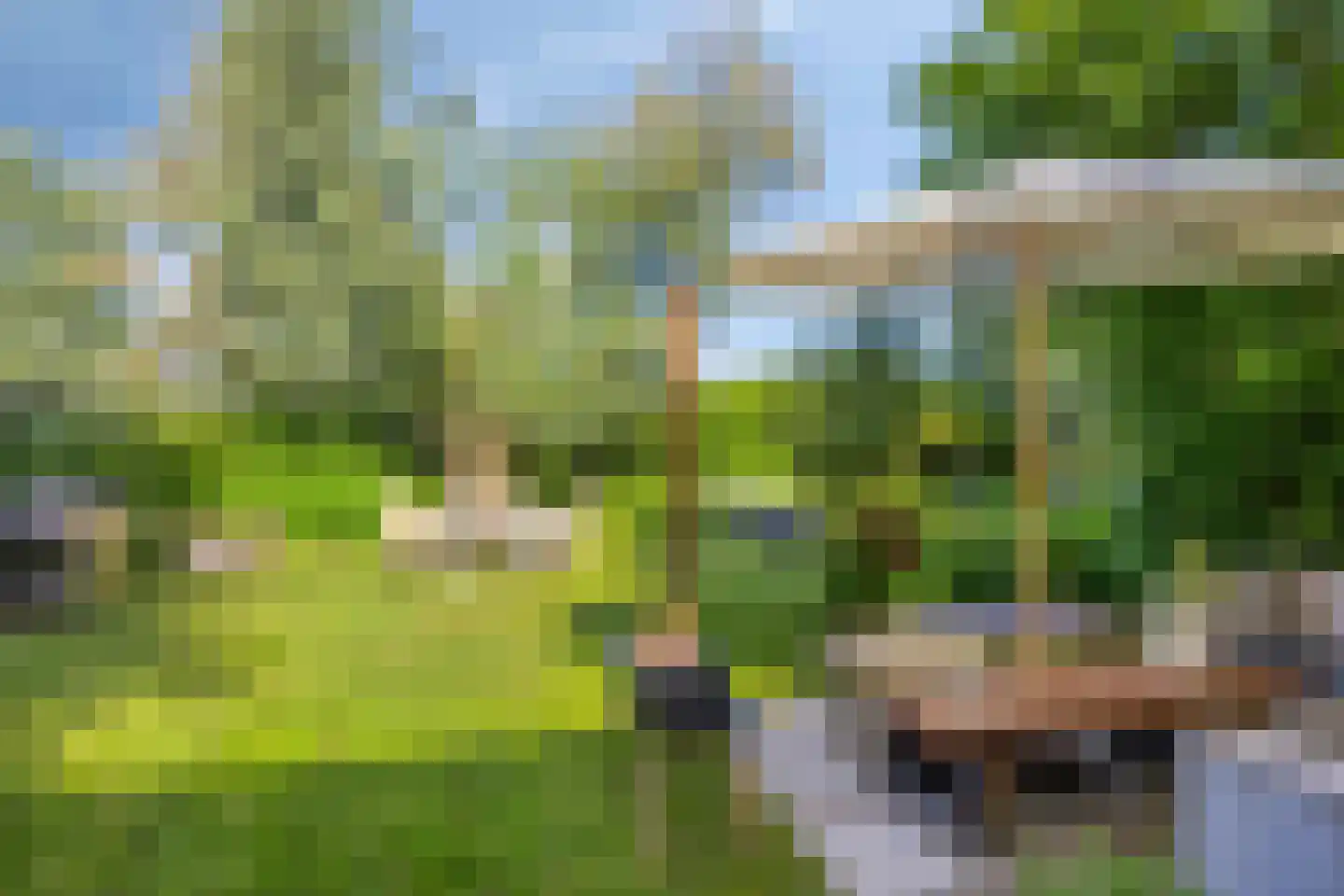 Zinkweg 306 Oud-Beijerland thumbnail 71