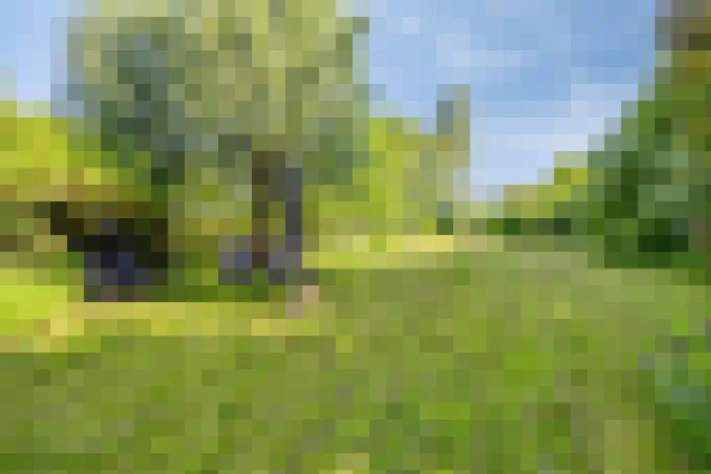 Zinkweg 306 Oud-Beijerland thumbnail 76