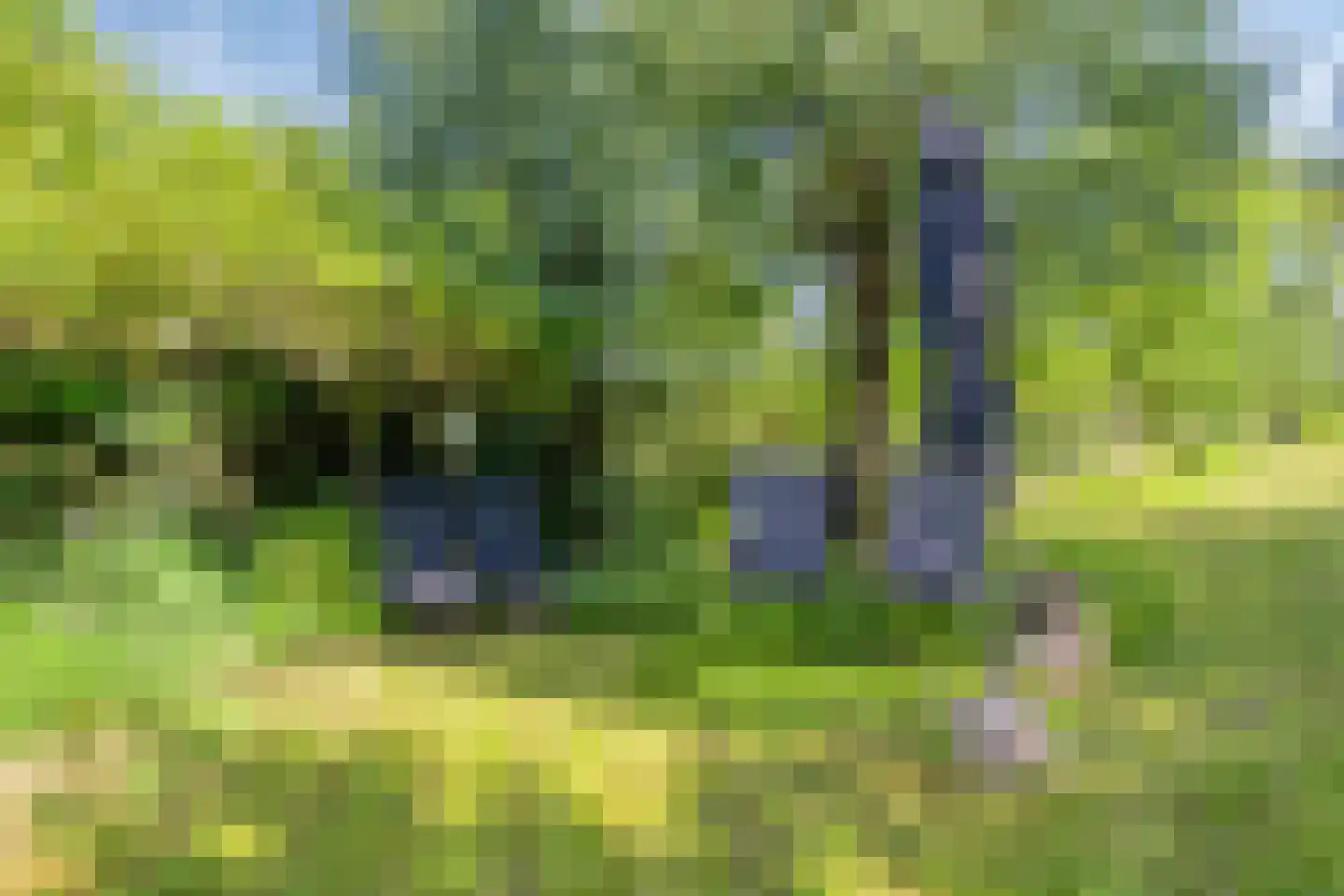 Zinkweg 306 Oud-Beijerland thumbnail 77