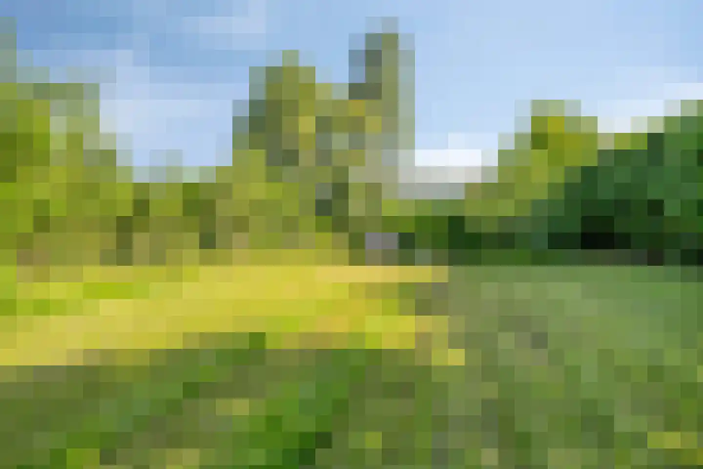 Zinkweg 306 Oud-Beijerland thumbnail 79