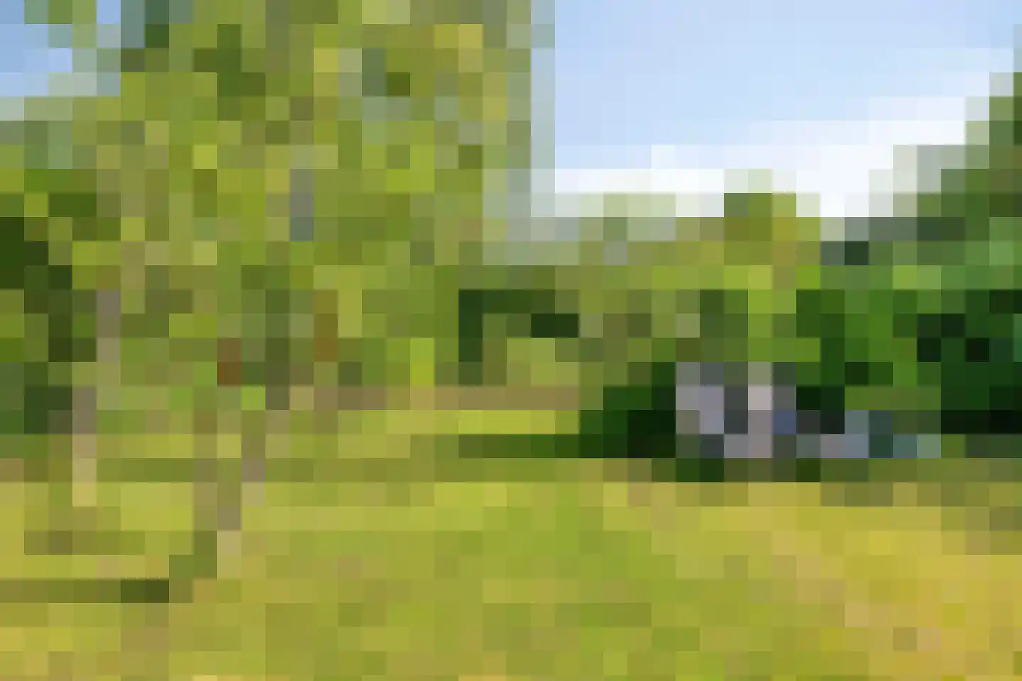 Zinkweg 306 Oud-Beijerland thumbnail 81