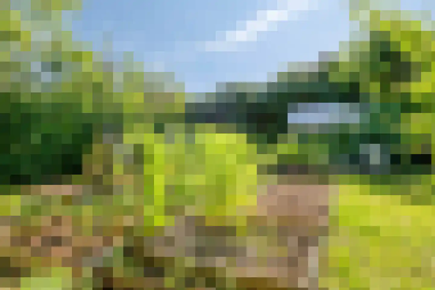 Zinkweg 306 Oud-Beijerland thumbnail 82