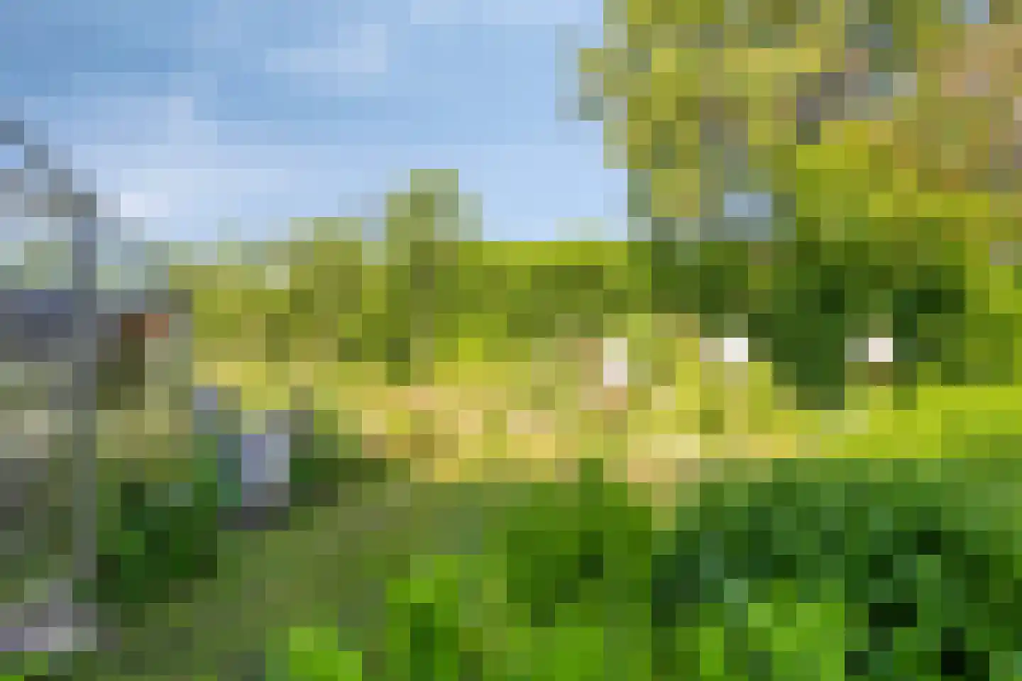 Zinkweg 306 Oud-Beijerland thumbnail 83