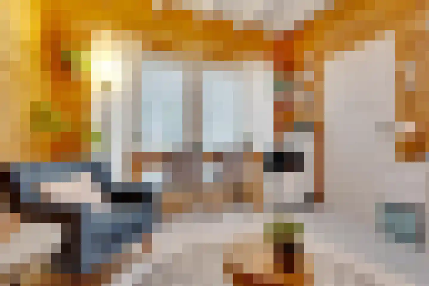 Zinkweg 35 Oud-Beijerland thumbnail 32