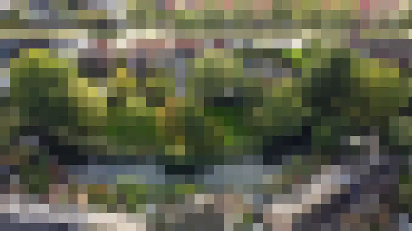Zinkweg 35 Oud-Beijerland thumbnail 36