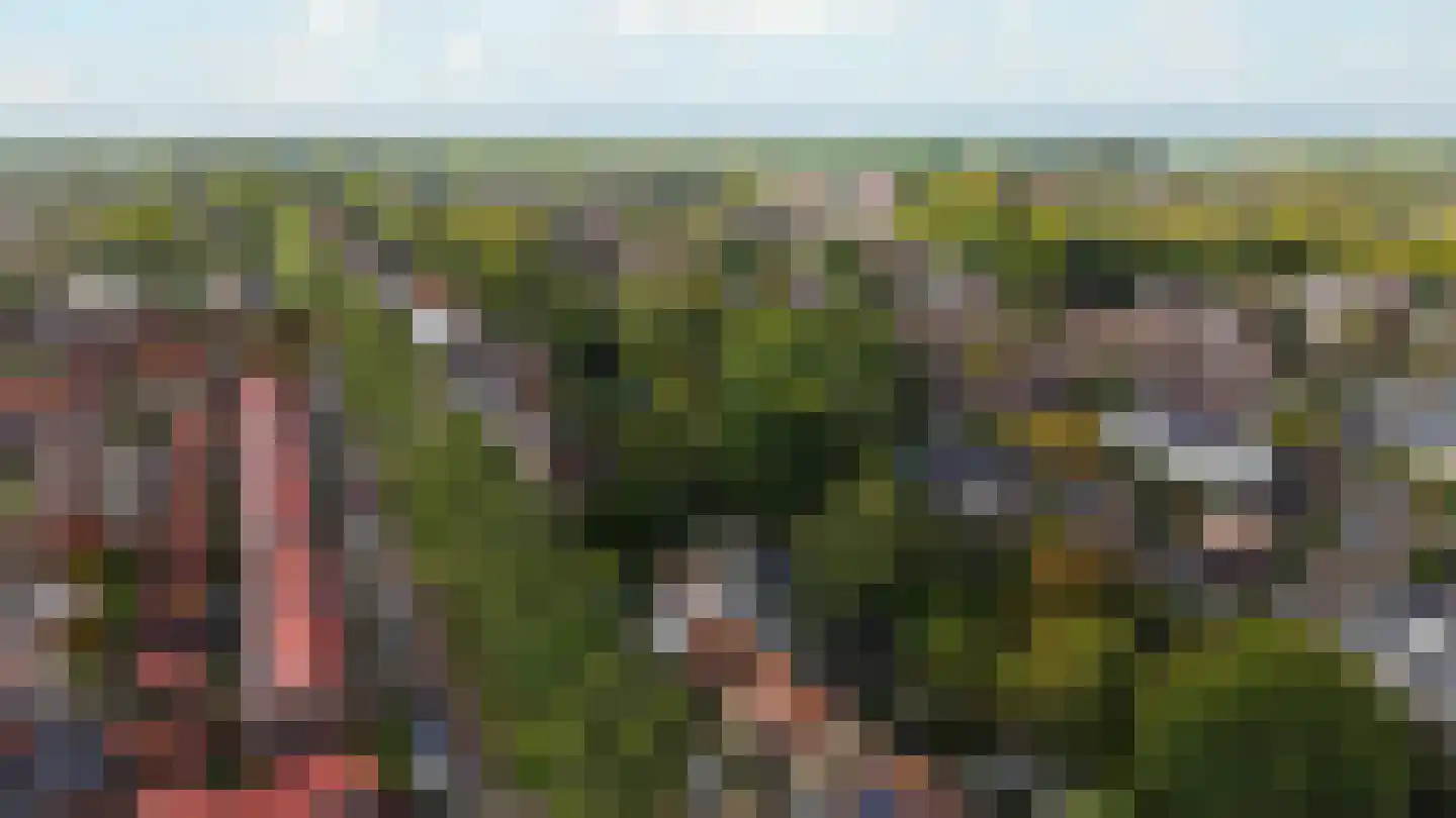 Zinkweg 35 Oud-Beijerland thumbnail 37