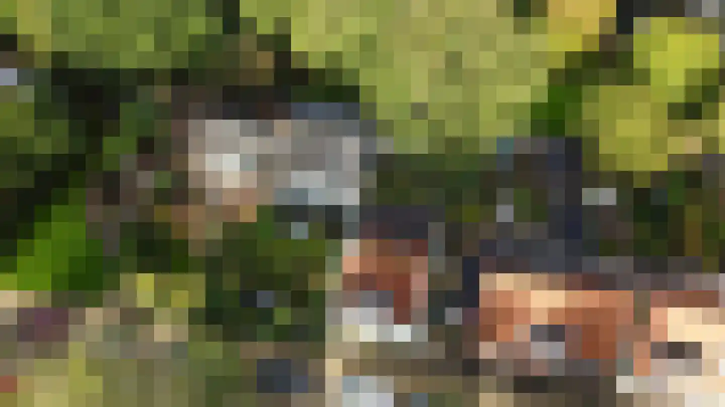 Zinkweg 35 Oud-Beijerland thumbnail 4