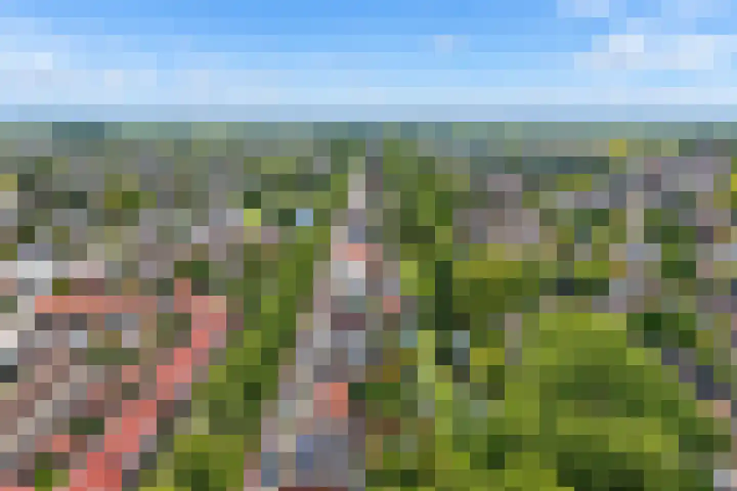 Zinkweg 51 Oud-Beijerland thumbnail 60