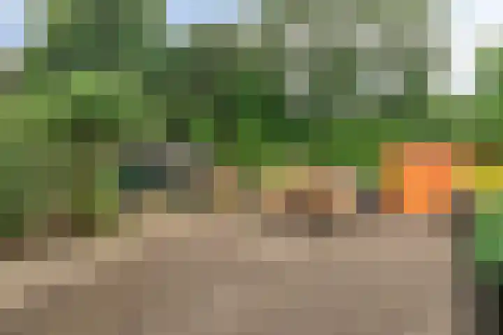 Zinkweg 68 Oud-Beijerland thumbnail 23