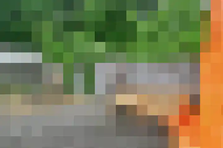 Zinkweg 68 Oud-Beijerland thumbnail 25