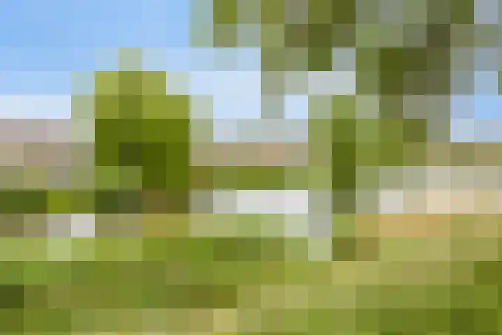 Zinkweg 68 Oud-Beijerland thumbnail 28