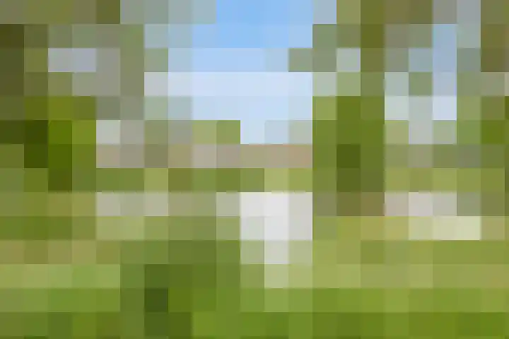 Zinkweg 68 Oud-Beijerland thumbnail 29