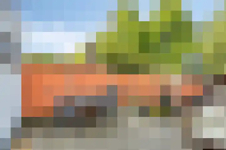 Zinkweg 92 Oud-Beijerland thumbnail 30