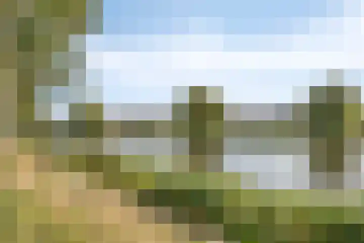 Zinkweg 92 Oud-Beijerland thumbnail 31