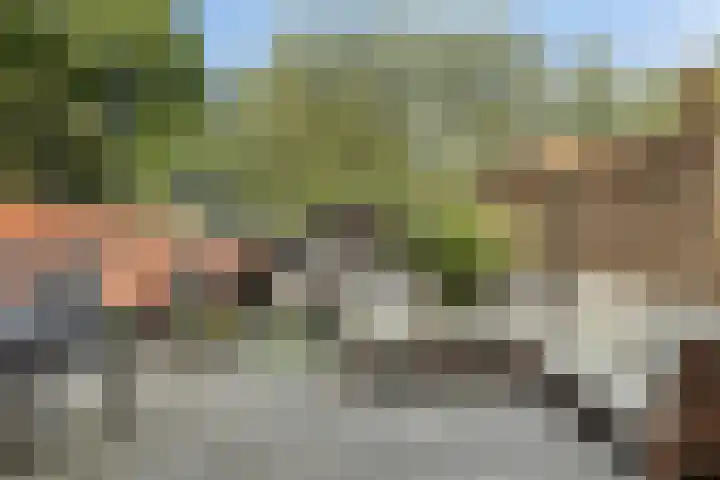 Zinkweg 92 Oud-Beijerland thumbnail 4