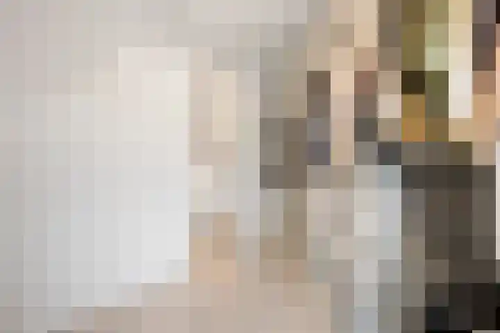 Zinneveltlaan 2 Santpoort-Zuid thumbnail 20