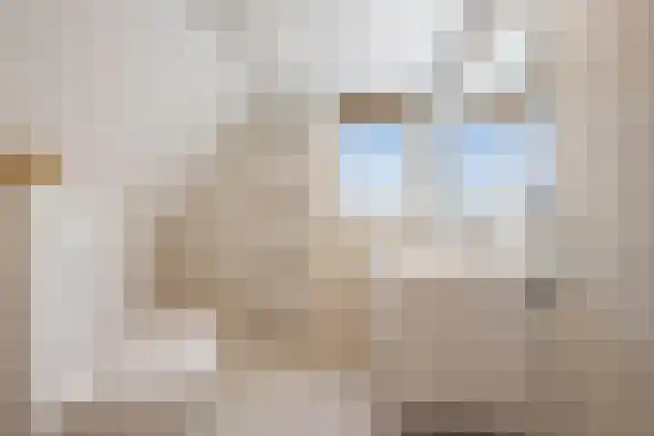 Zinneveltlaan 2 Santpoort-Zuid thumbnail 21