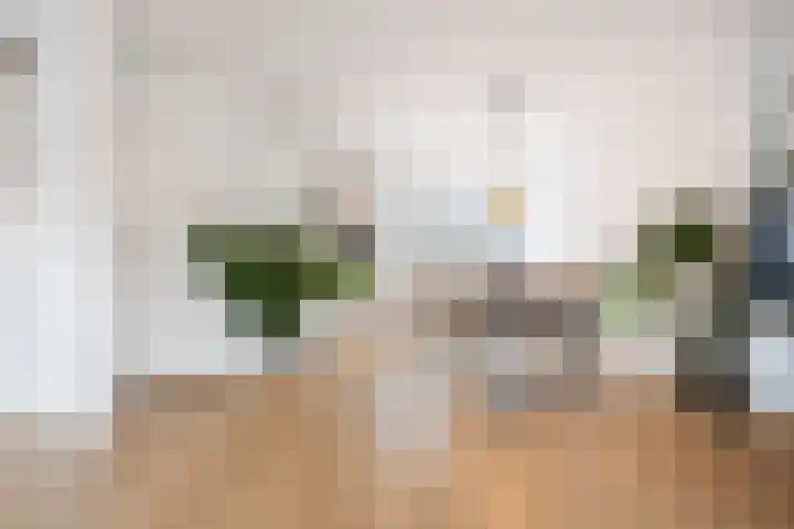Zinneveltlaan 2 Santpoort-Zuid thumbnail 6
