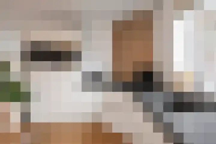 Zinneveltlaan 2 Santpoort-Zuid thumbnail 8