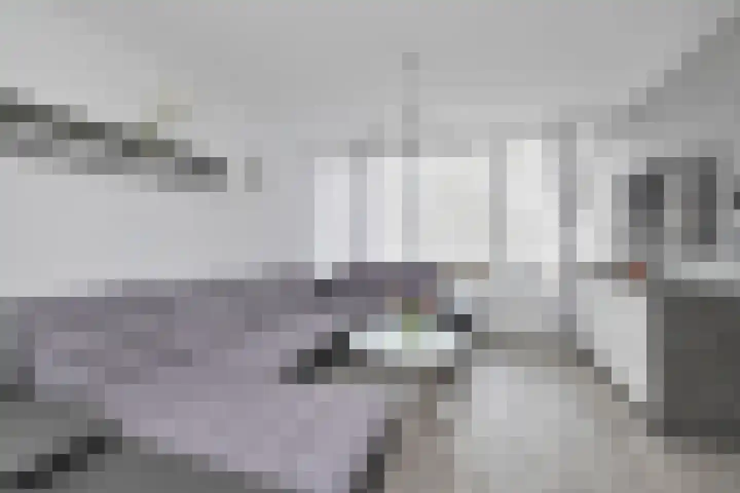 Zinniapad 12 Spijkenisse thumbnail 5