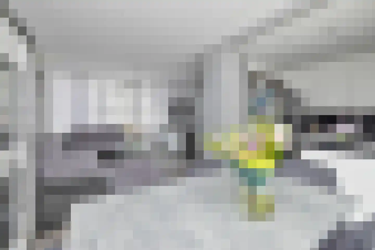 Zinniapad 12 Spijkenisse thumbnail 8
