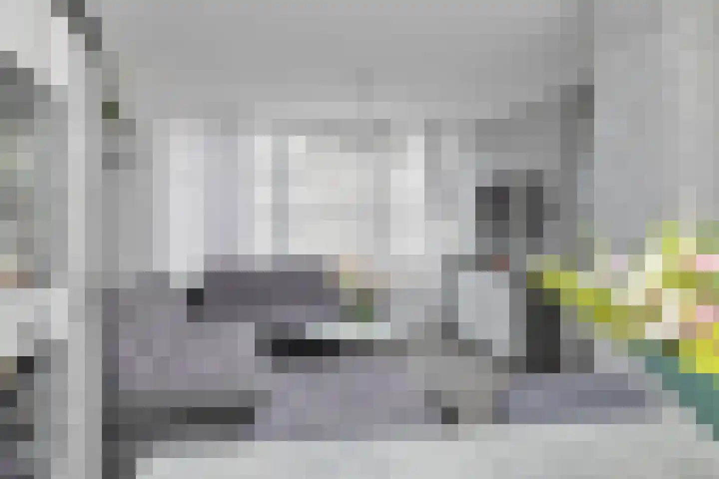 Zinniapad 12 Spijkenisse thumbnail 9
