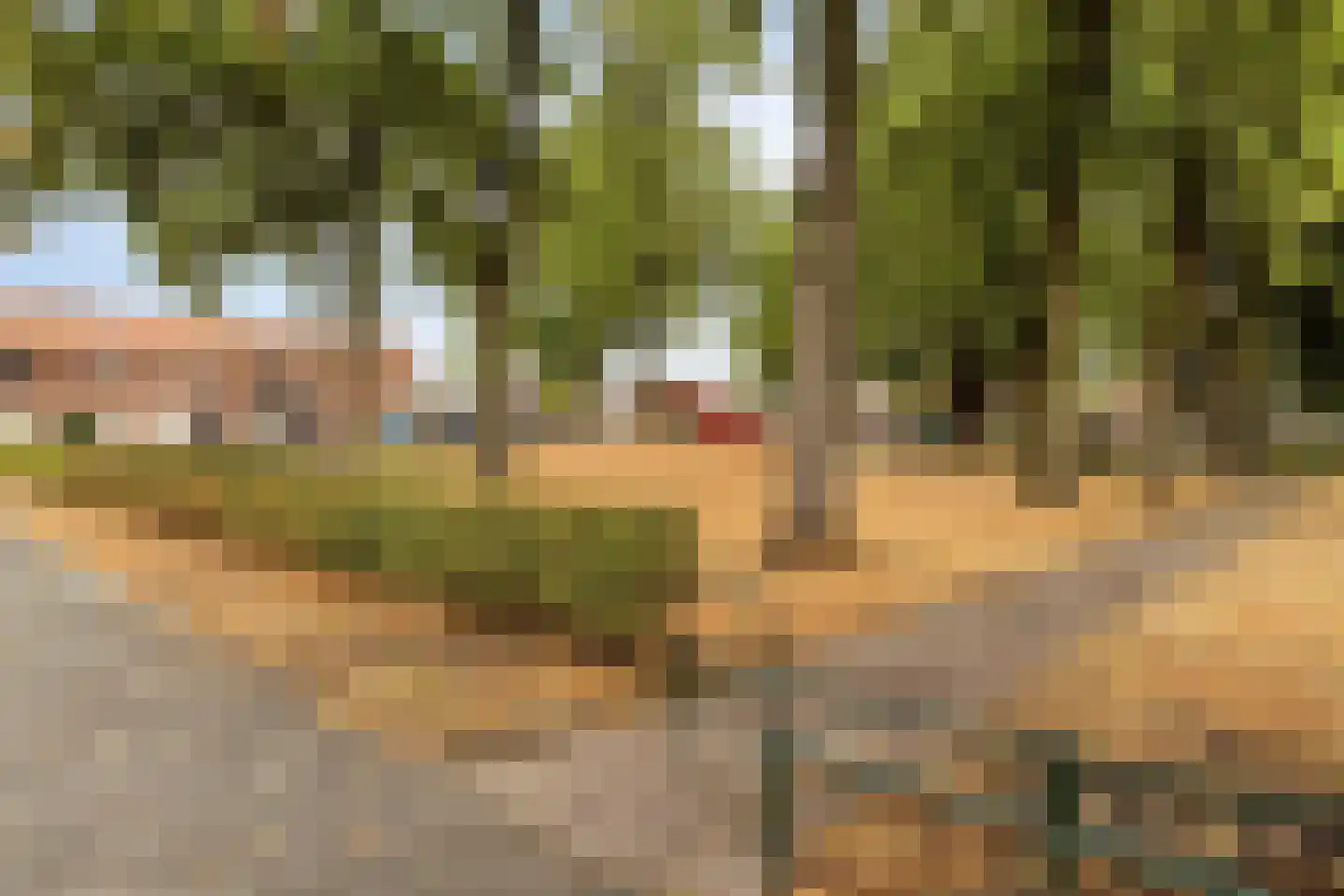 Zinniastraat 1 a Roosendaal thumbnail 29
