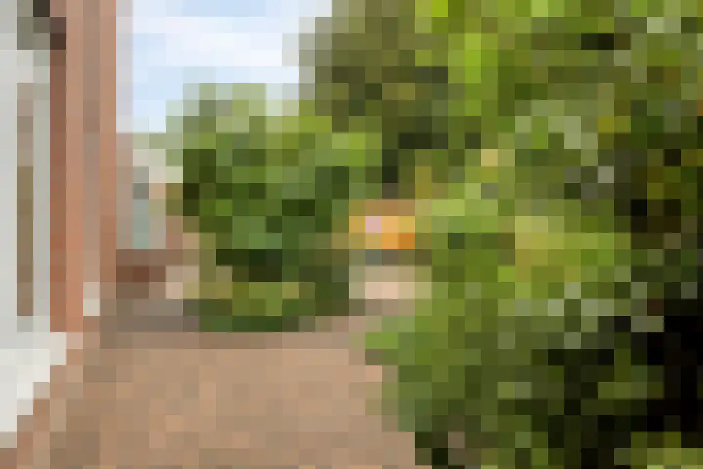 Zinniastraat 1 a Roosendaal thumbnail 5