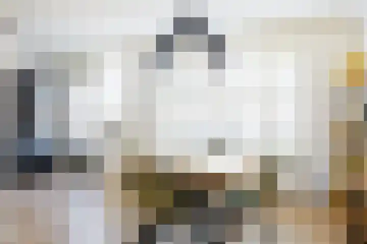Zinniastraat 2 Nieuwegein thumbnail 12