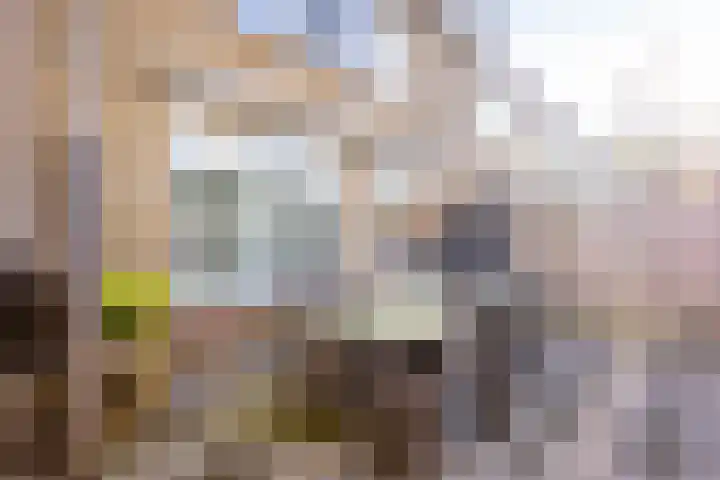 Zinniastraat 2 Nieuwegein thumbnail 18