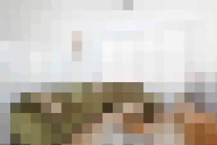 Zinniastraat 2 Nieuwegein thumbnail 8