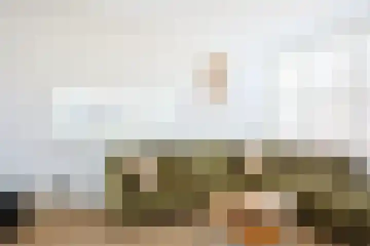 Zinniastraat 2 Nieuwegein thumbnail 9
