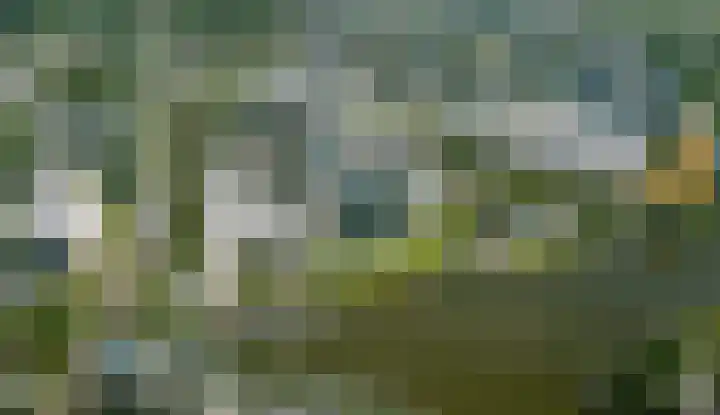 Zinranapad 117 Amsterdam thumbnail 10
