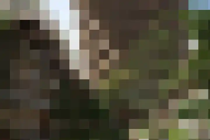 Zinranapad 117 Amsterdam thumbnail 6