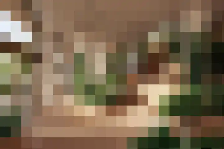 Zinranapad 117 Amsterdam thumbnail 8