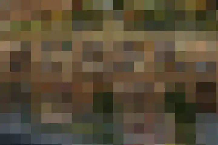 Zinranapad 117 Amsterdam thumbnail 9