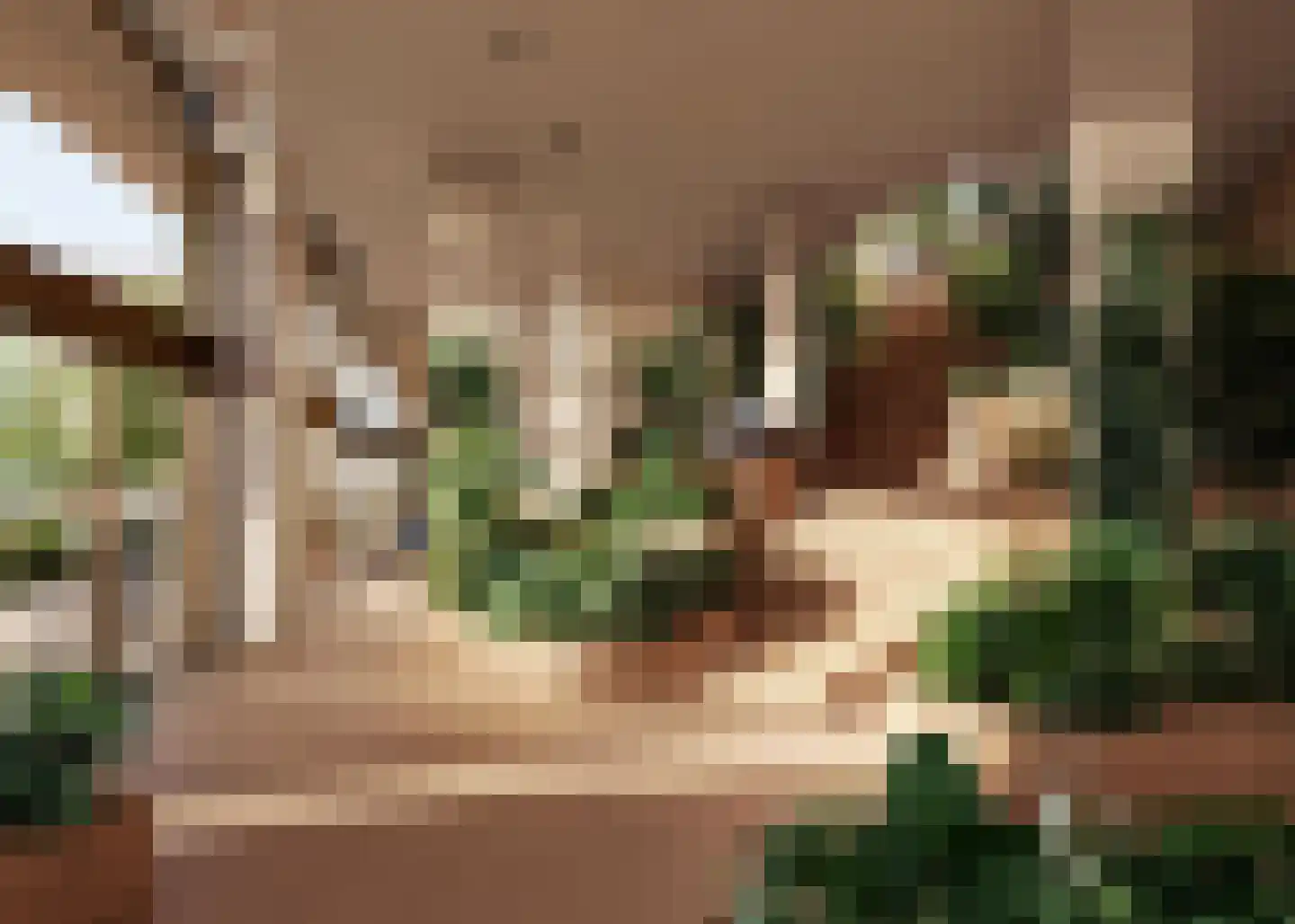 Zinranapad 17 Amsterdam thumbnail 12