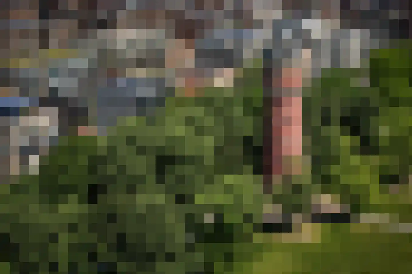 Zinranapad 17 Amsterdam thumbnail 16