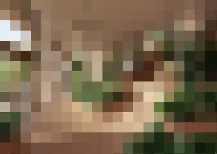Zinranapad 199 Amsterdam thumbnail 10