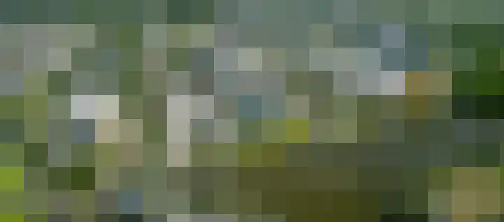 Zinranapad 199 Amsterdam thumbnail 15