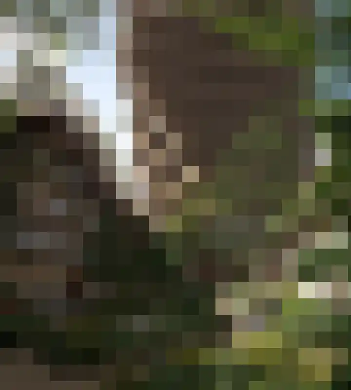 Zinranapad 235 Amsterdam thumbnail 10