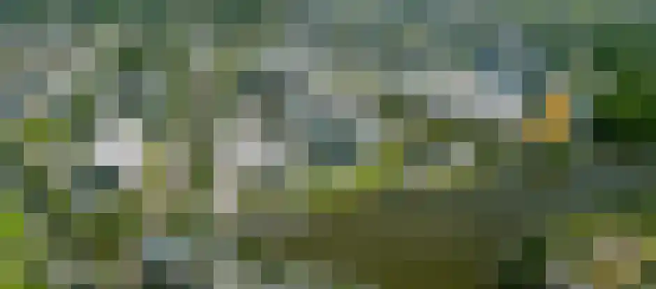 Zinranapad 31 Amsterdam thumbnail 13