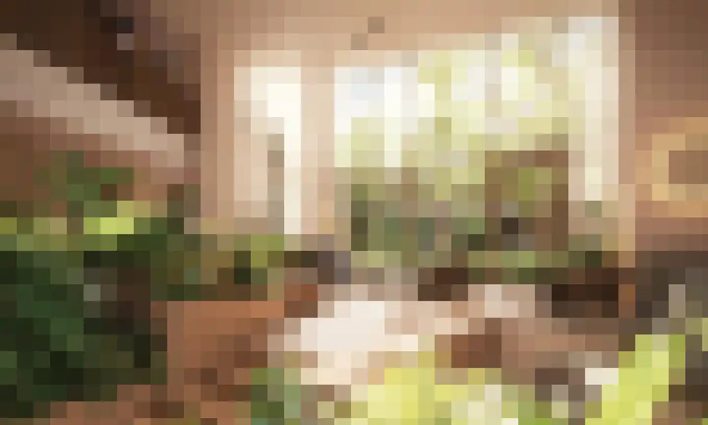 Zinranapad 31 Amsterdam thumbnail 9