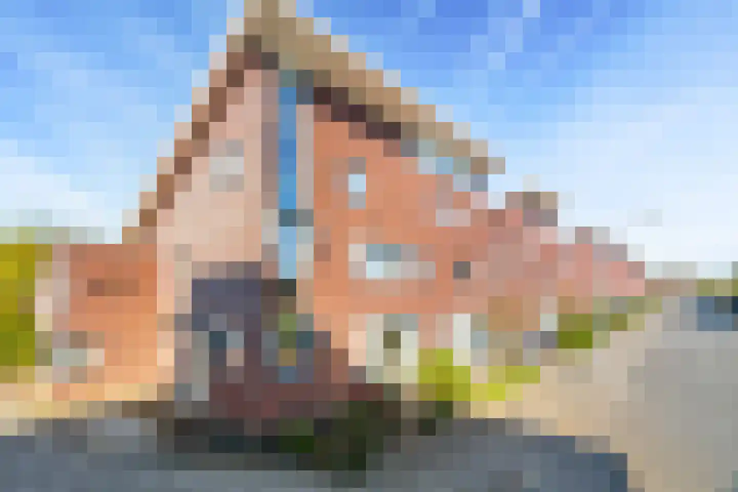 Zintele 16 Pijnacker