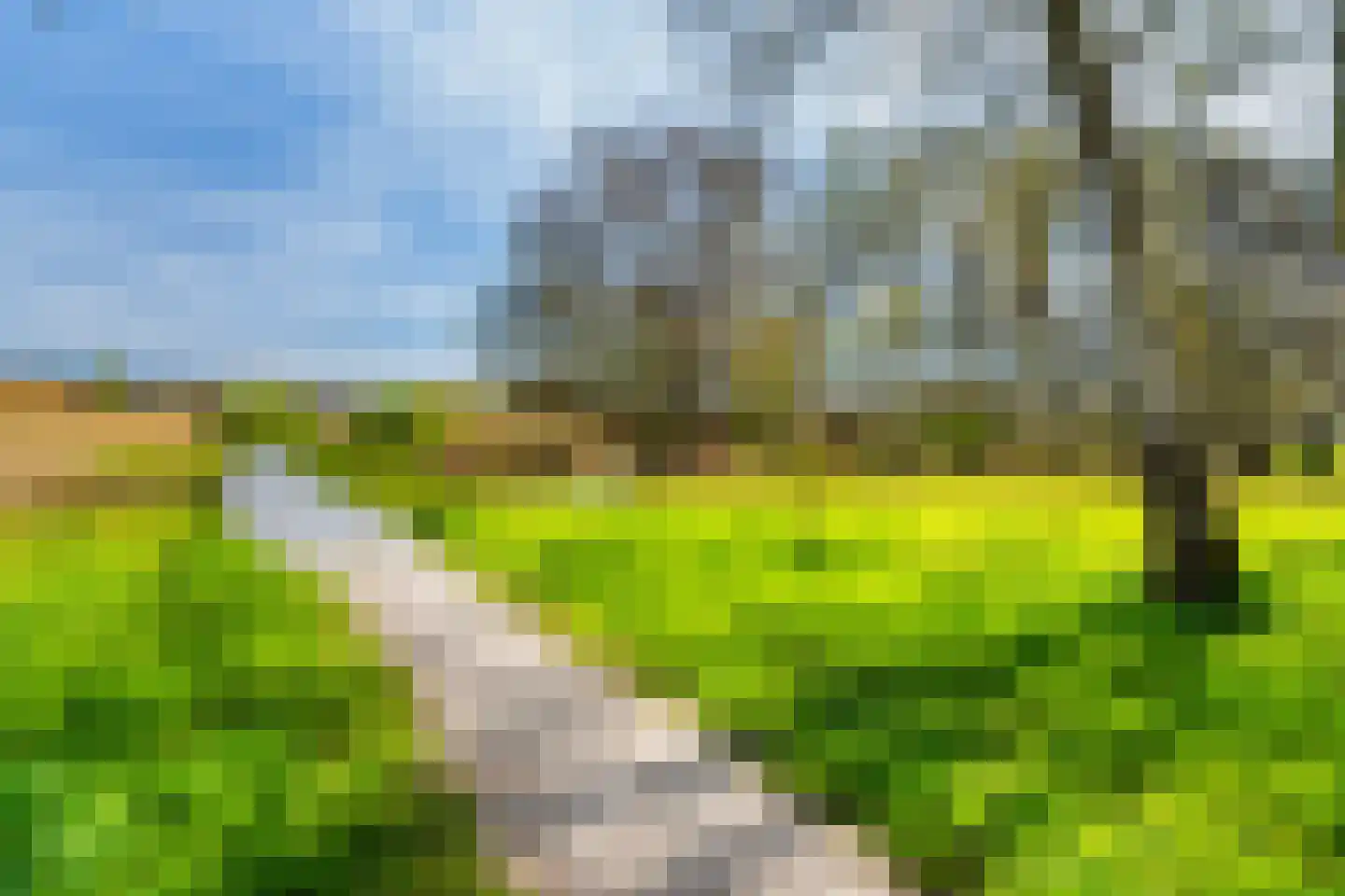Zintele 16 Pijnacker thumbnail 49