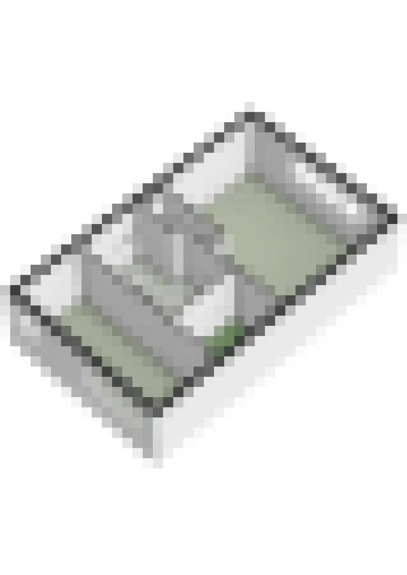 Zintele 16 Pijnacker thumbnail 55