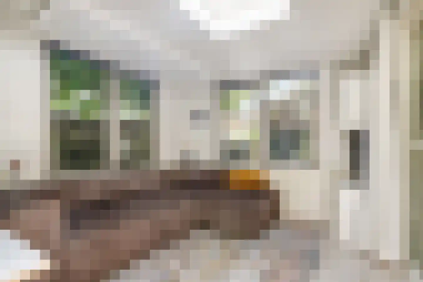 Zinzendorflaan 11 Zeist thumbnail 15