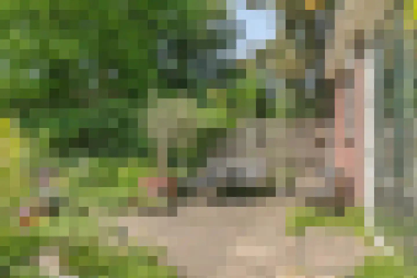 Zinzendorflaan 11 Zeist thumbnail 35